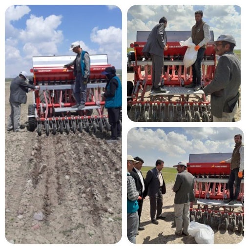 کشت گندم پاییزه محصولات زراعی در شهرستان هشترود با بارش شدید اولین برف پاییزی خاتمه یافت