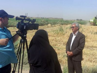 کاهش مصرف آب در بخش کشاورزی با استفاده ازآب سبز درکشت محصولات زراعی استان