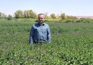 جلوگیری استفاده ازآبهای نامتعارف برای آبیاری محصولات کشاورزی در ‏شهرستان تبریز