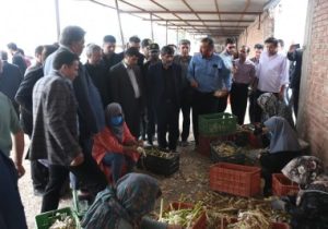 افتتاح یک واحد سردخانه و سورتینگ با ظرفیت تولید سالانه یک‌هزار تن در آذرشهر