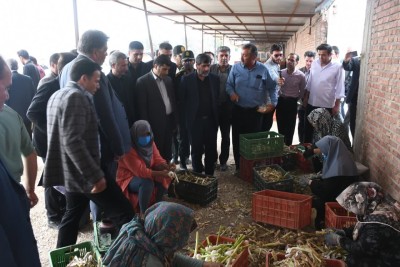 افتتاح یک واحد سردخانه و سورتینگ با ظرفیت تولید سالانه یکهزار تن در آذرشهر