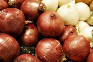 حساب بازار از دست دولت خارج شده است