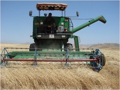 نظارت بر عملیات برداشت غلات در ۳۸ هزار هکتار از مزارع شهرستان اهر