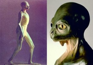 اگر دایناسورها منقرض نمیشدند، امروز چه شکلی بودند؟