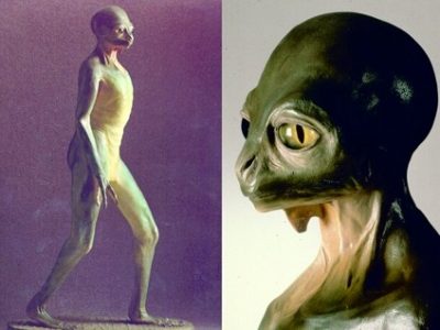 اگر دایناسورها منقرض نمیشدند، امروز چه شکلی بودند؟