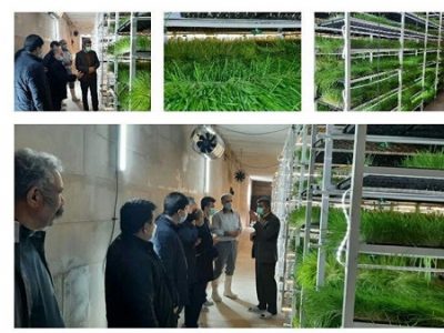 افتتاح یک واحد گلخانه ای تولید علوفه در اهر برای اولین بار در سطح استان