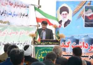 شهرستان هشترود رتبه نخست صدور اسناد اراضی کشاورزی در استان