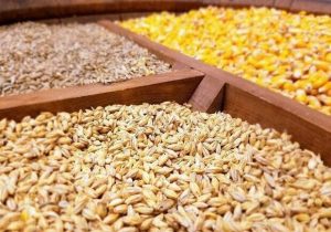 کشف بیش از چهار تن نهاده دامی قاچاق در مراغه