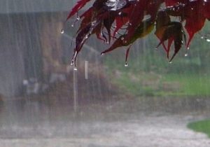 افزایش ۱۳۷ درصدی بارش ها در آذربایجانشرقی