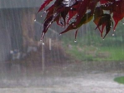 افزایش ۱۳۷ درصدی بارش ها در آذربایجانشرقی