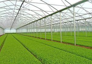 تخصیص و تامین سوخت ذخیره اضطراری برای واحدهای گلخانهای مرند