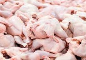 کاهش قیمت مرغ گرم در آذربایجان شرقی
