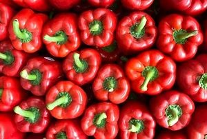 چرا فلفل دلمه ای برگشت خورده از روسیه، در مناطق فقیرنشین کشورمان فروخته شد؟