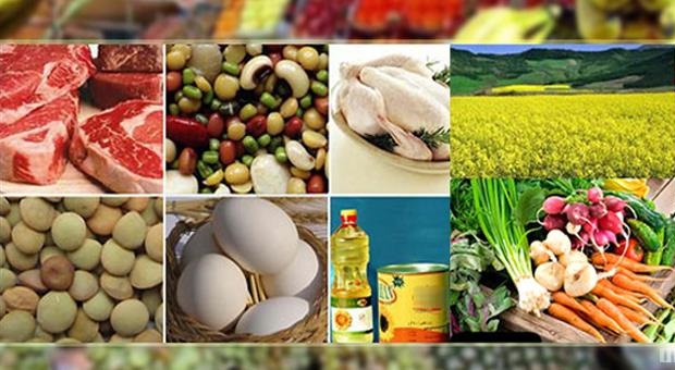 مجلس در برابر تداوم روند اشتباه توزیع کالاهای اساسی می ایستد