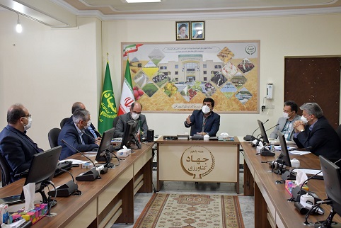 با وجود شرایط خشکسالی، حداقل ۵۰ درصد عملکرد تولید محصول از مزارع دیم استان استحصال می شود