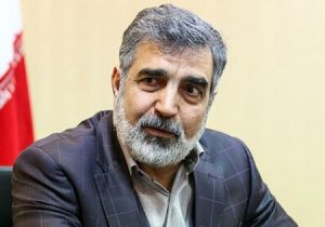 گروسی با امیرعبداللهیان دیدار می‌کند/ انتظار می‌رود موضوعات ایران و آژانس به طور کامل مرور شود