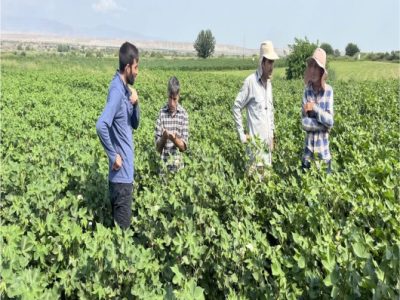 بازدید مدیر کل دفتر بازرسی وزارت جهاد کشاورزی از سردخانه دولتی آذر و مجتمع انباری نهاده های دامی مایان