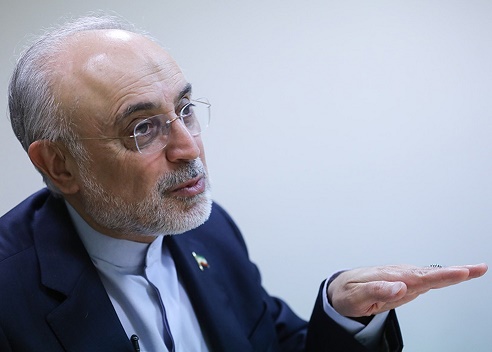 طوری صحبت میکنند که گویی قبل از برجام همه چیز خوب و گل و بلبل بوده/ پیش از توافق، به خاطر قطعنامه ۱۹۲۹، حتی نمیگذاشتند کشتی هایمان عبور و مرور کنند