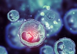 یک مطالعه مشخص کردارتباط بین هورمون تیروئید و ذخیره تخمدان‌ها