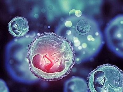 یک مطالعه مشخص کردارتباط بین هورمون تیروئید و ذخیره تخمدان‌ها