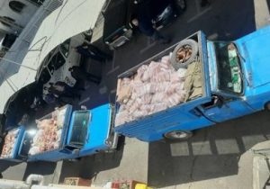 کشف، ضبط و معدوم سازی بیش از ۶ تن فرآورده خام دامی غیر بهداشتی در شهرستان تبریز