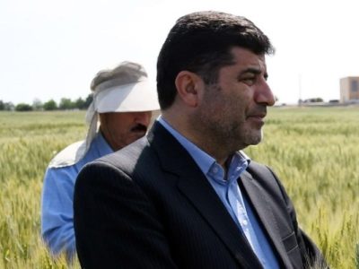 خرید بیش از ۴۹۵ هزار تن گندم در آذربایجان شرقی