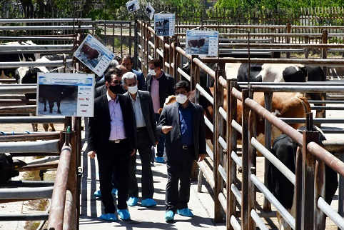 بازدید رئیس سازمان جهادکشاورزی آذربایجان شرقی از مرکز اصلاح نژاد دام منطقه شمالغرب و غرب کشور