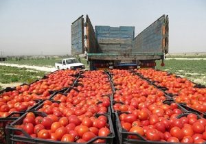صادرات۱۰هزار تنی محصول کشاورزی از آذربایجانشرقی