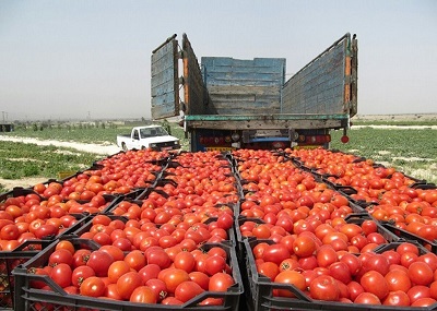 صادرات۱۰هزار تنی محصول کشاورزی از آذربایجانشرقی