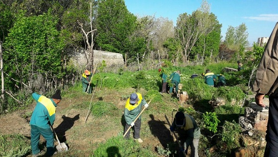 ساماندهی بخشهایی از فضای سبز سطح منطقه ۱ تبریز
