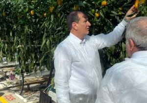 بازدید معاون باغبانی وزارت جهادکشاورزی از بزرگترین گلخانه خاورمیانه در جلفا