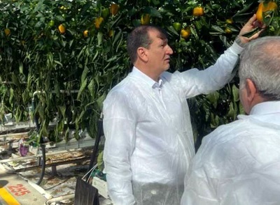 بازدید معاون باغبانی وزارت جهادکشاورزی از بزرگترین گلخانه خاورمیانه در جلفا