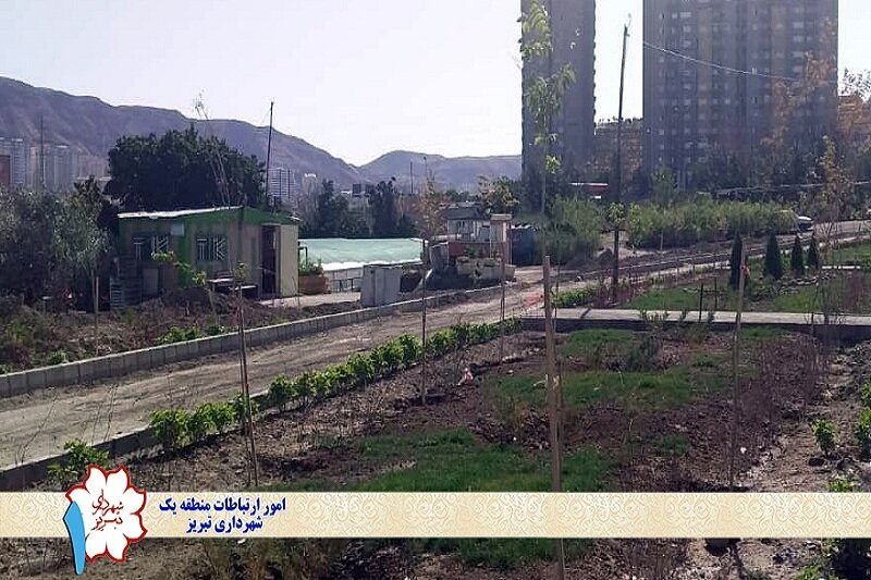 شهردار منطقه ۱ تبریز خبر داد: اجرای ۶ پروژه بوستان محلهای جهت افزایش سرانه فضای سبز