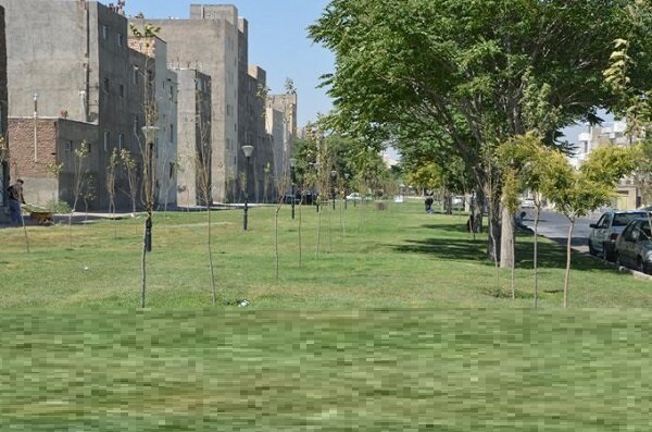 کاشت هشت هزار اصله انواع نهال در سطح منطقه ۷ تبریز