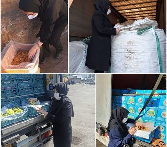اعمال مقررات قرنطینه نباتی بر بیش از ۱۴۳ هزار تن محصولات کشاورزی در شهرستان جلفا