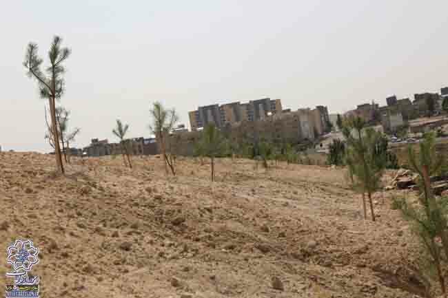 با تسطیح زمین های واقع در انتهای کوی های اوچمان  معضل چندین ساله اهالی شهرک اندیشه مرتفع شد