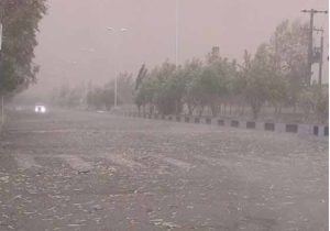 طوفان به باغات سهندآباد هشترود خسارت زد