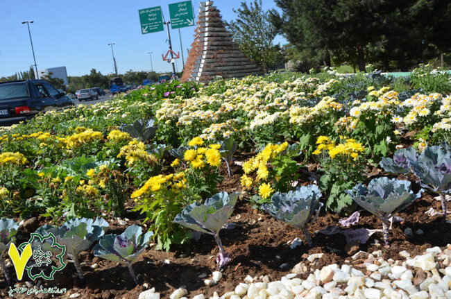 همزمان با آغاز فصل پاییز صورت می‌گیرد؛  آغاز کاشت گل‌های فصلی پاییزه در سطح حوزه منطقه ۷