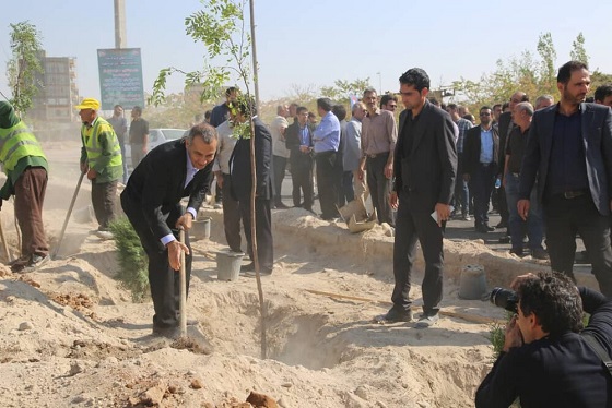 شهری که درخت بیشتری دارد؛ شهروندان آن مشکلات روحی کمتری دارند