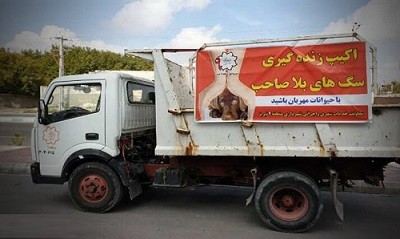 شایعه استفاده از دارو به صورت اور دوز و کشتن سگ بلاصاحب واقعیت ندارد