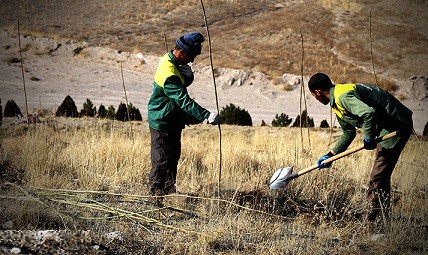توسعه فضای سبز تفرجگاه «ائل باغی» با کاشت ۳ هزار اصله نهال