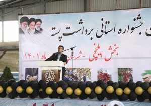 افزایش باغات پسته استان و بهبود عملکرد در واحد سطح در راستای اصلاح الگوی کشت