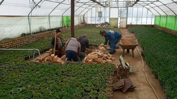 توسط شهرداری منطقه ۶ تبریز عملیات بازسازی گلخانه پارک صنعت اجرا می شود