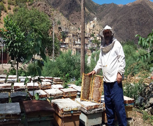 برداشت بیش از ۲ هزار تن عسل در شهرستان خداآفرین