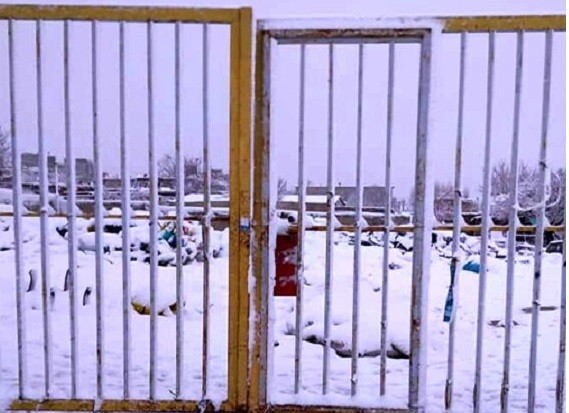 معاون خدمات شهری و اجرائی منطقه ۹ تبریز خبر داد: ممانعت از فعالیت مشاغل مزاحم در سطح حوزه شهرداری منطقه۹