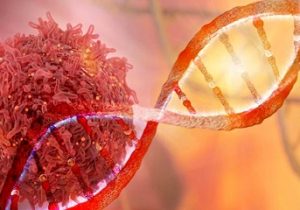 توسعه روشی جدید برای از بین بردن سلول های سرطانی