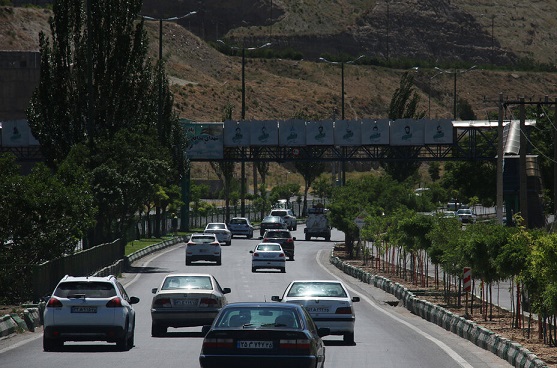 فاصله استاندارد بین درختان کاشته شده در تبریز رعایت میشود