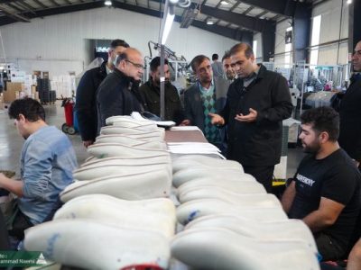 بازدید مدیرعامل سازمان منطقه آزاد ارس از کارخانه پیشگامان دنیلی ارس