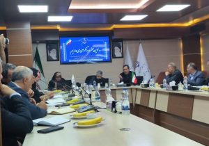 وجود ۳۰ هزار نیروی شرکتی در آذربایجان شرقی/ کاهش نیروی کیفی دستگاهها