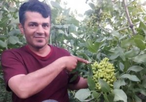 مردی که سر ایران را سبز میکند